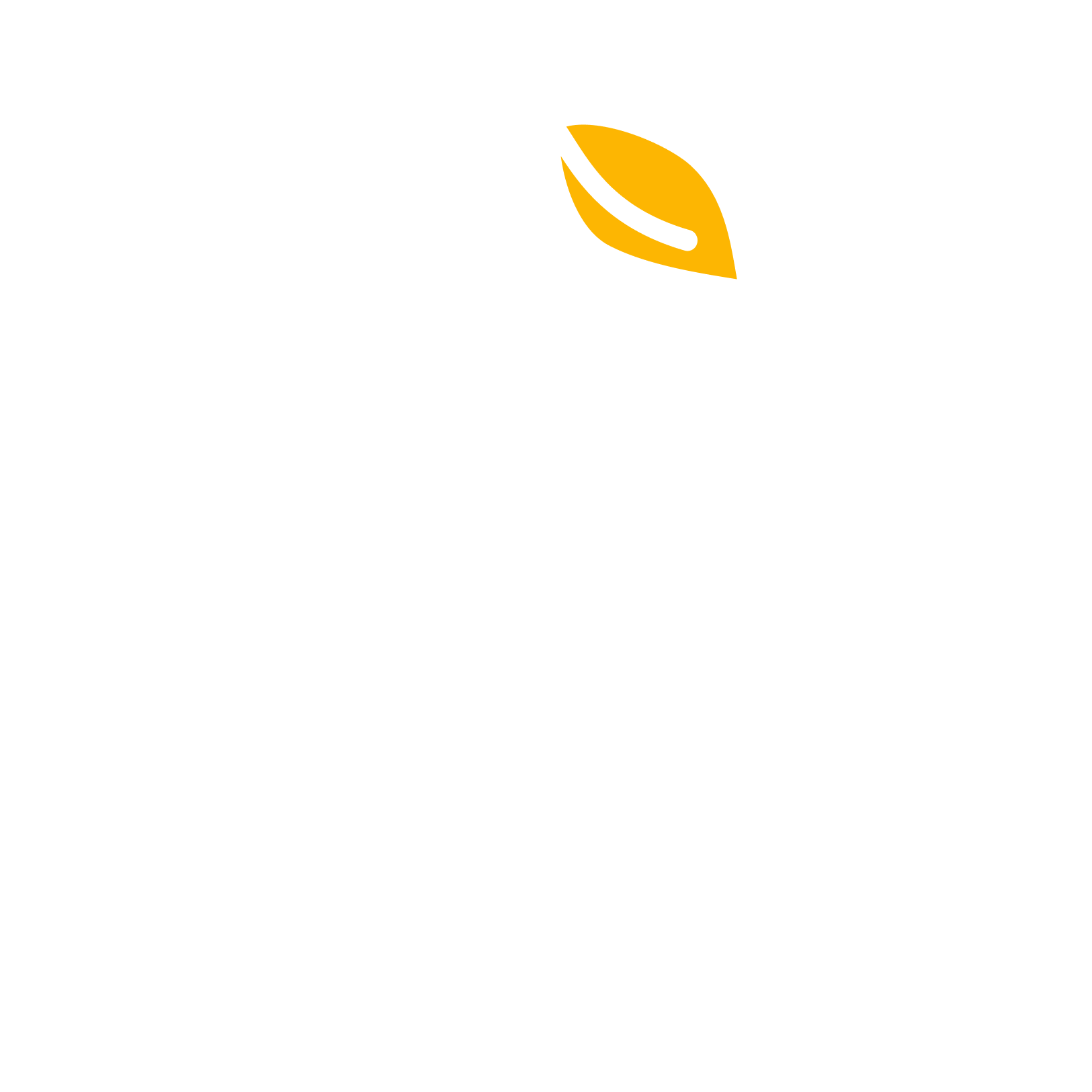MANGO PROXY